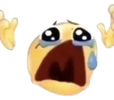 yg_crying emote