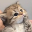Hmmm emote