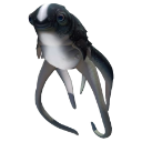 Cuddlefish Emote