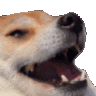 957442548329234512 emote