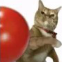 tomataso emote