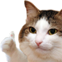 Nice emote
