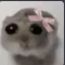 Screenshot20260413203916 emote