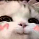 Uwu_Cat emote