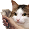 1263kiisucash Emote