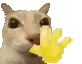 CatWave Emote