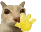 mr_wavey emote