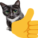 catthumbsup emote