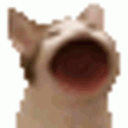 emoji_97 emote