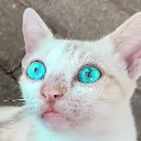 emoji_41 Emote