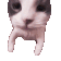 catkiss Emote
