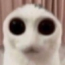 SCalien Emote