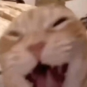 emoji_21 Emote