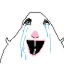 IMG_7735 emote
