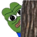 pepepeek emote