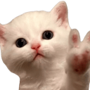 emoji_16 emote