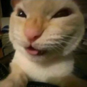 naur emote