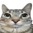 seriously Emote