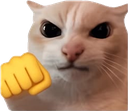 794547fight emote