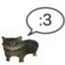 GatoCute emote
