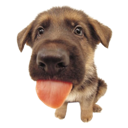 emoji_24 Emote