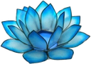 FlowerLotusMayville emote