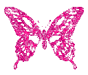 70_butterfly emote