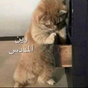 emoji_107 Emote