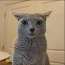 emoji_9 Emote