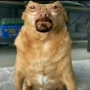 emoji_12 Emote