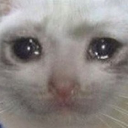 sadcat Emote