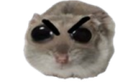 hamesti emote