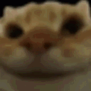 emoji_100 emote