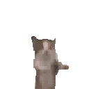 happy emote