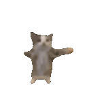 c_happycat emote