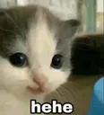 hehe emote