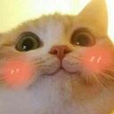 UwUcat emote