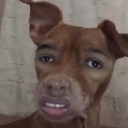 brotherEUH Emote