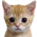 quedor emote
