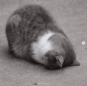 sadcar emote