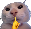 shhhhh emote