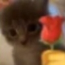 emoji_8 Emote