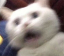 scared emote