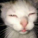 emoji_20 Emote