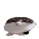 Wawa_animated emote