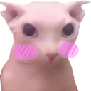 bingusblush Emote