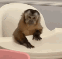 grd emote