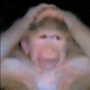 emoji_60 Emote