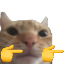 catfingerguns emote