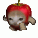 applecat emote